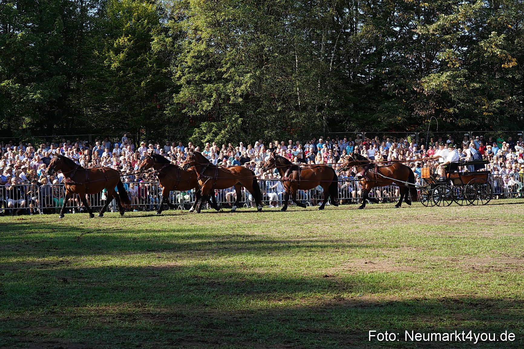 Pferde und Fohlenschau 2022 0069 